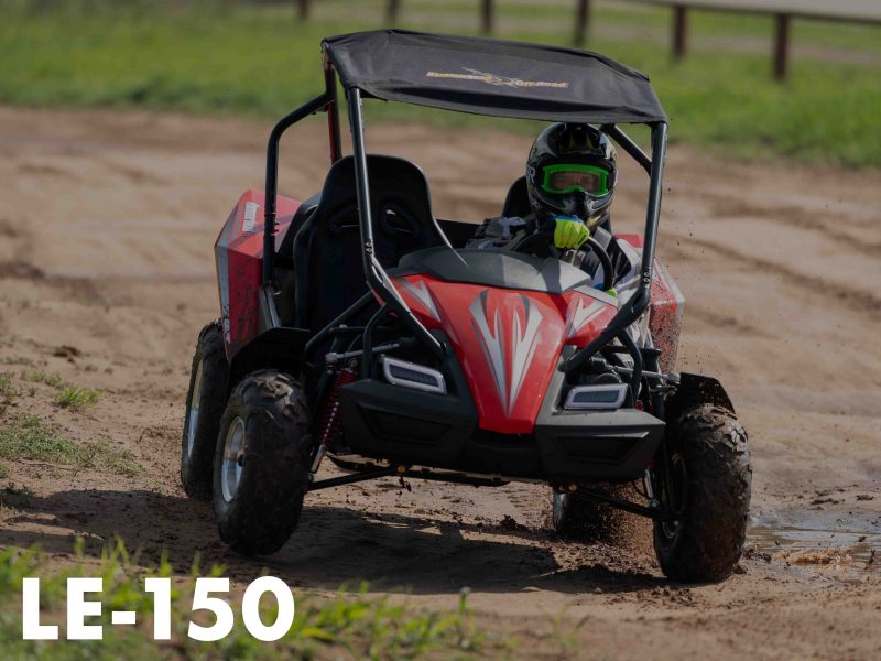 Hammerhead LE-150 Go-Karts are In-Stock.